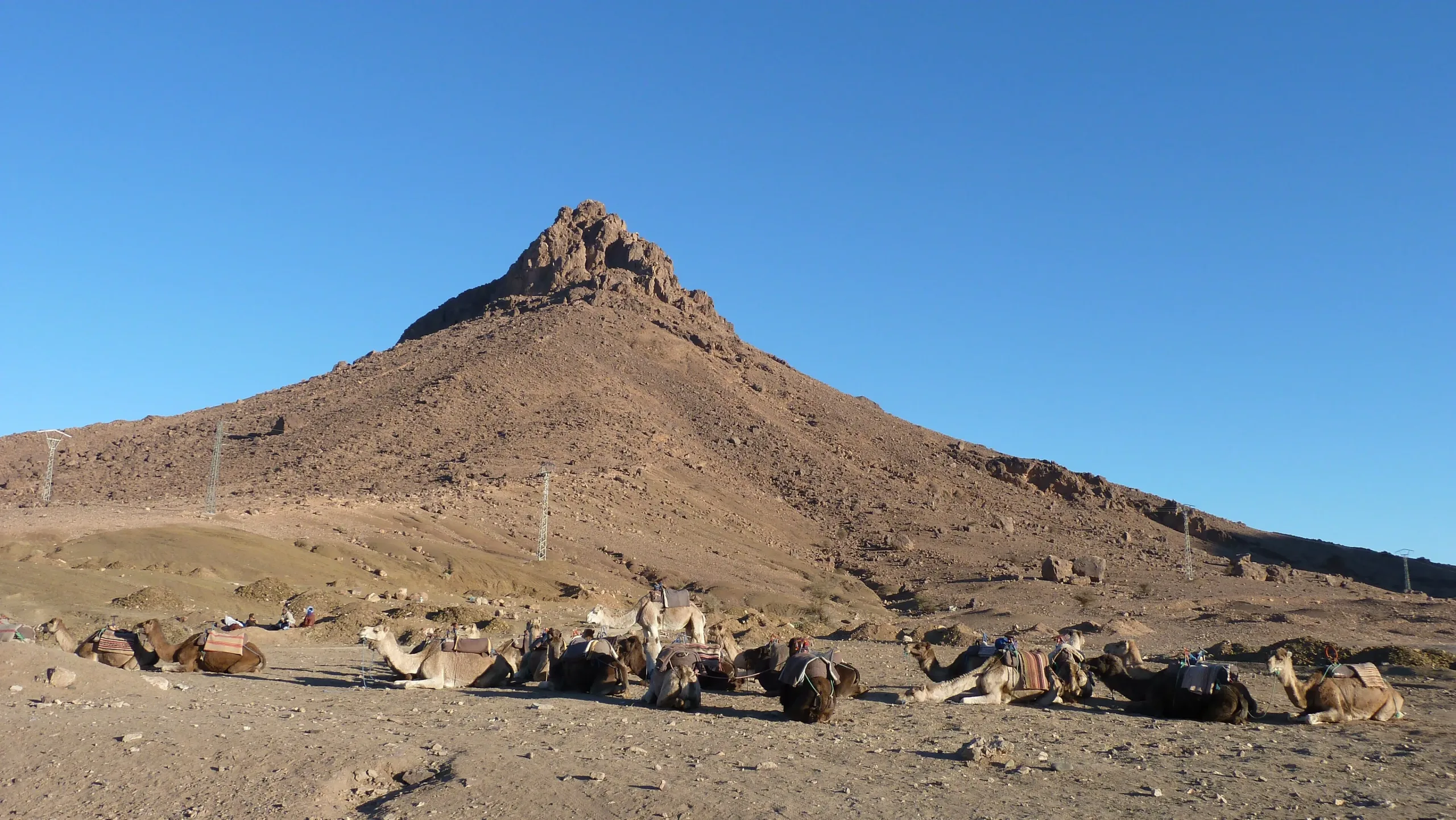 2 Tage - Von Marrakesch in die Wüste von Zagora