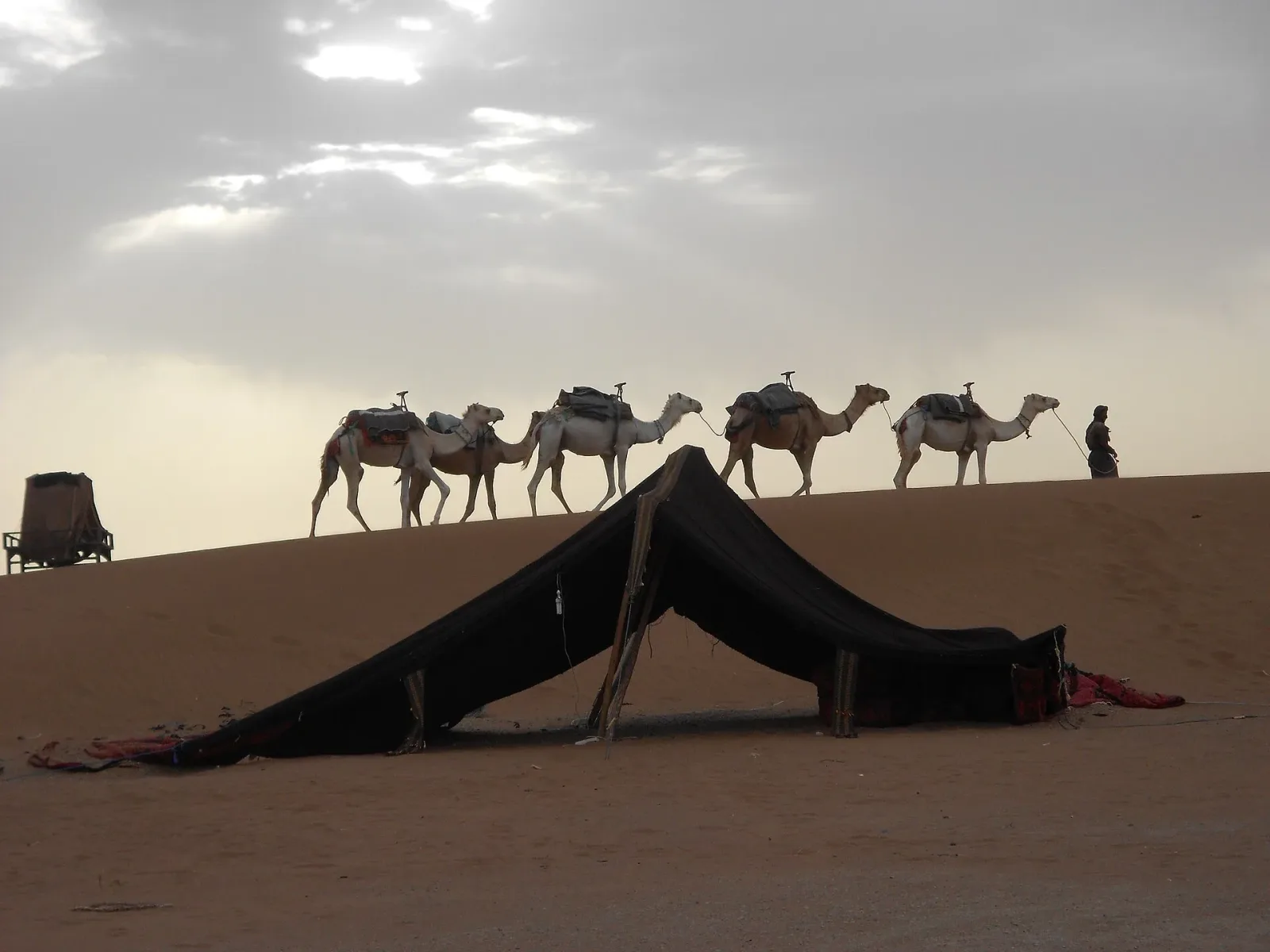 5 days – The Hidden Great South route